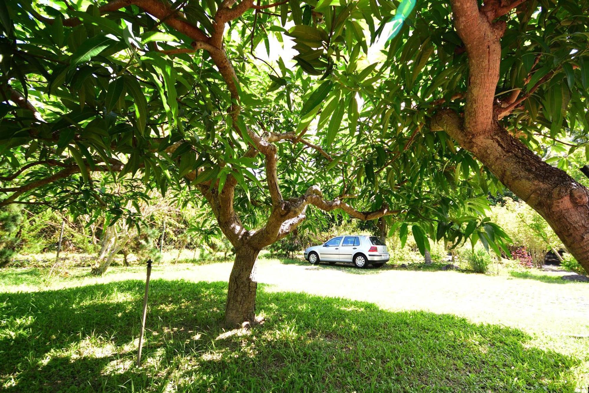 Chin Shan B&B Quang Sơn Ngoại thất bức ảnh